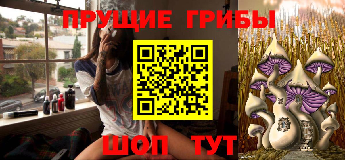 Ейск  Галлюциногенные грибы MAGIC MUSHROOMS  хочу наркоту  Вход с VPN  Псилоцибиновые грибы Psilocybe 